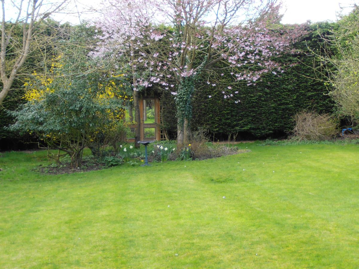Castle View Rooms Castle Hedingham Екстер'єр фото